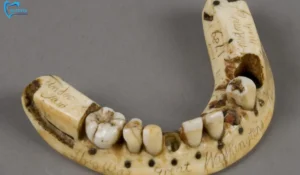 GEORGE WASHINGTON TEETH