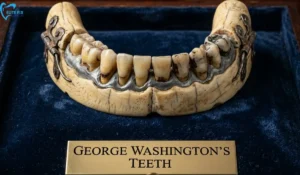 GEORGE WASHINGTON TEETH